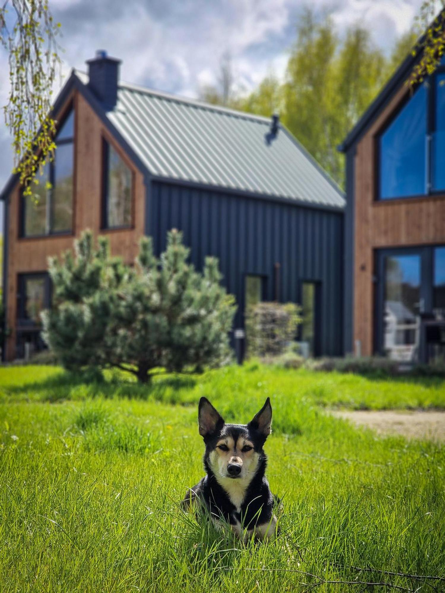 Domki W Naturze Lubiatowo  Exterior photo